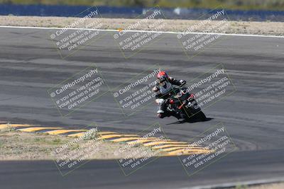 media/Apr-14-2024-SoCal Trackdays (Sun) [[70f97d3d4f]]/5-Bowl Exit (1020am)/